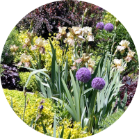 Herbaceous Perennials IPM Guidelines