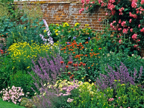 herbaceous perennials ipm guidelines