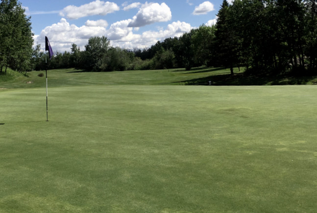 turfgrass ipm guidelines